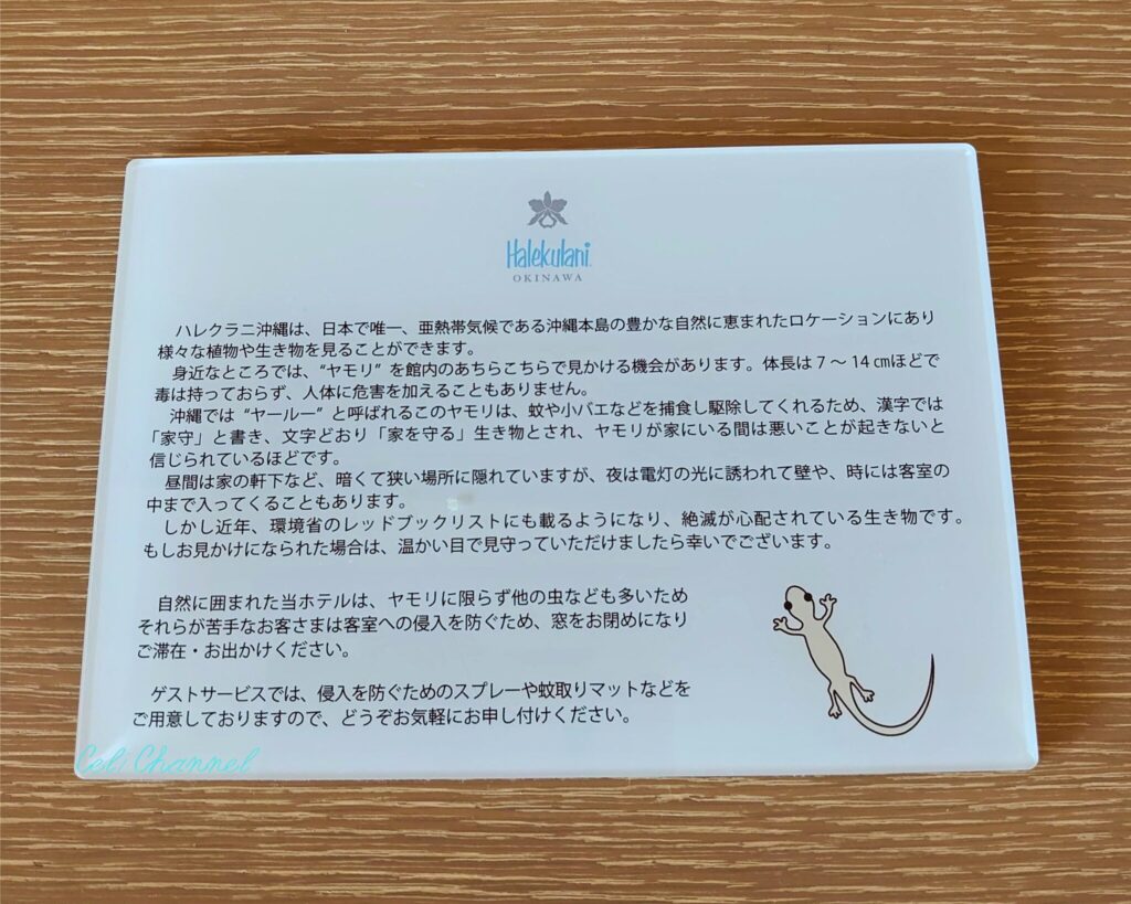 ハレクラニ沖縄ヤモリ