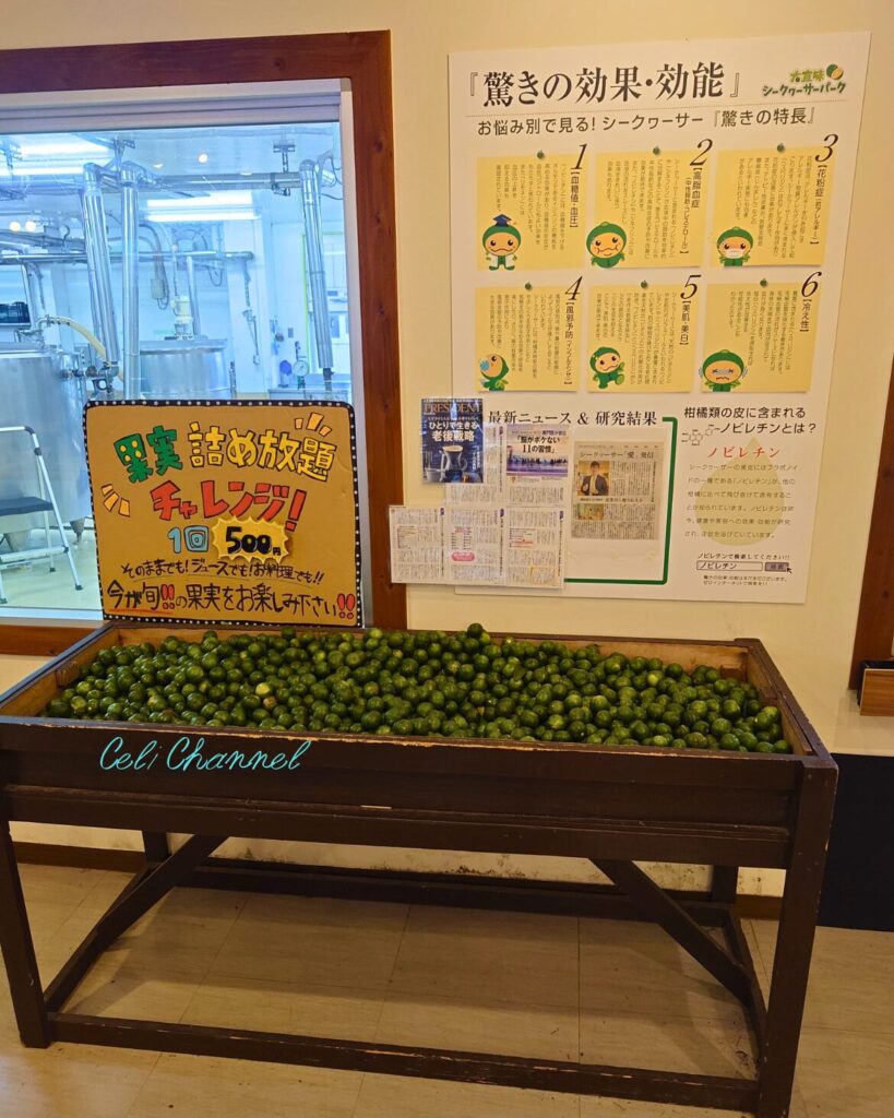 シークワーサーパーク　見学　体験