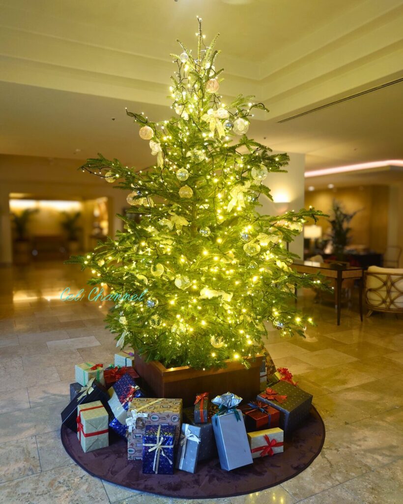 ナハテラス ツリー