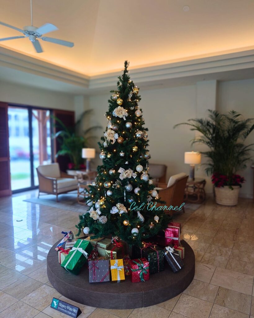 ナハテラス ツリー