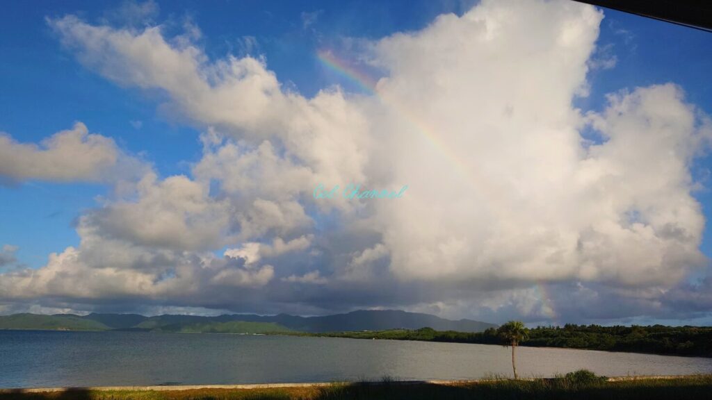 はいむるぶし オーシャンビューバススイート 虹