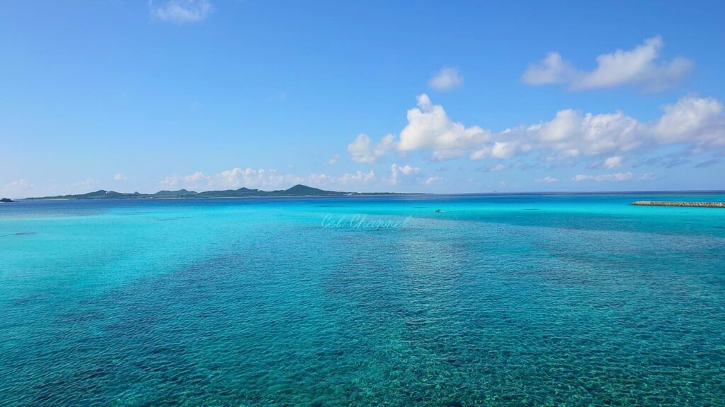 野甫大橋からの眺め