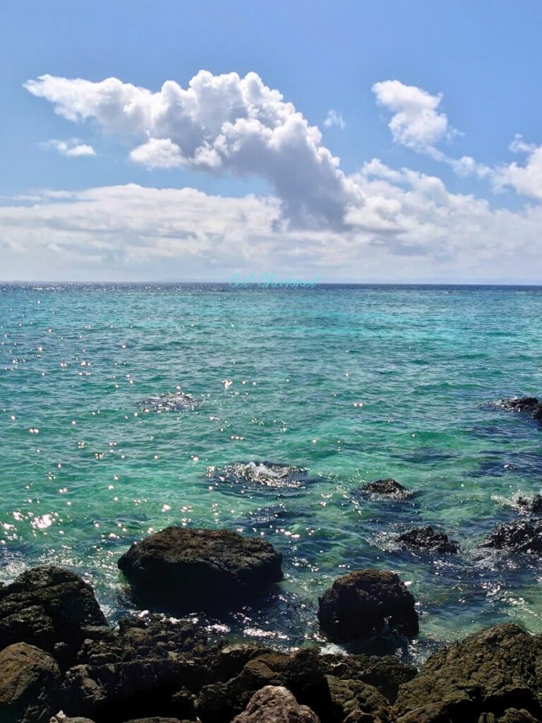屋蔵大主の墓　海