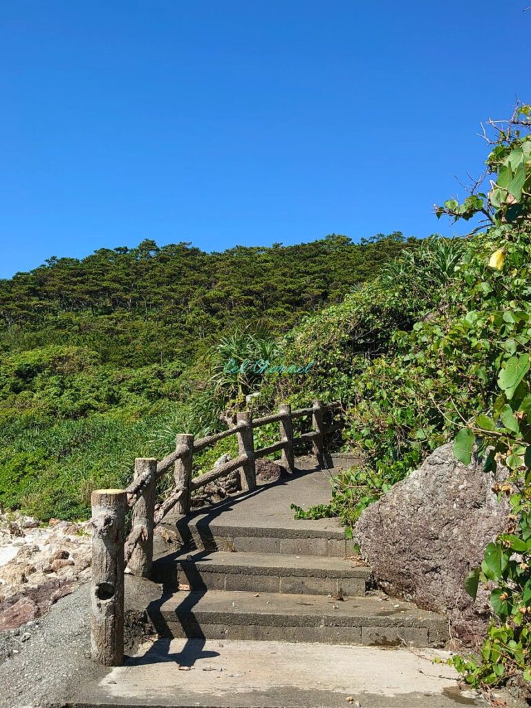 屋蔵大主の墓へ続く階段
